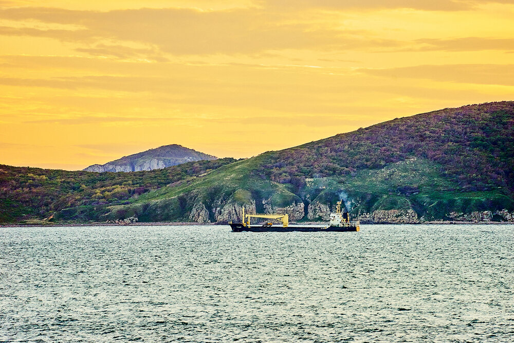 Photograph by Лариса Н