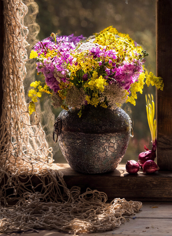 Photograph by Olga Schmidt
