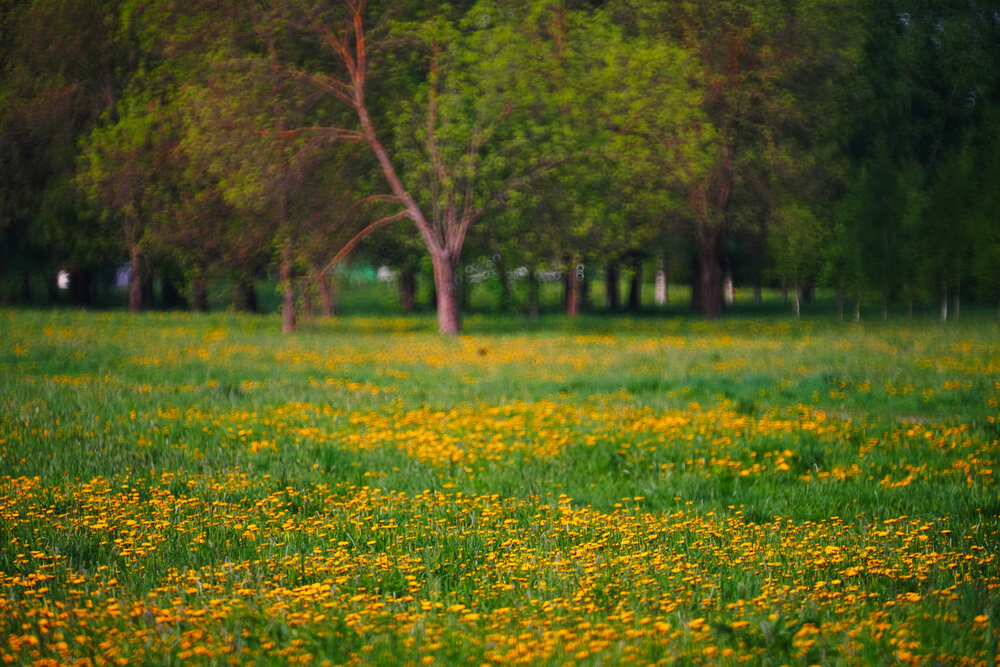 Фотография автора Яна Егорова