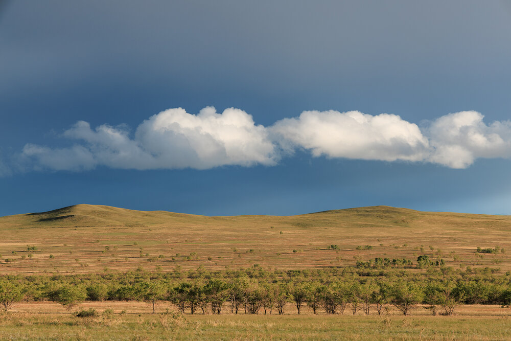 Photograph by Альберт Куулар