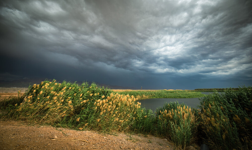 Photograph by Dmitry Shterenberg