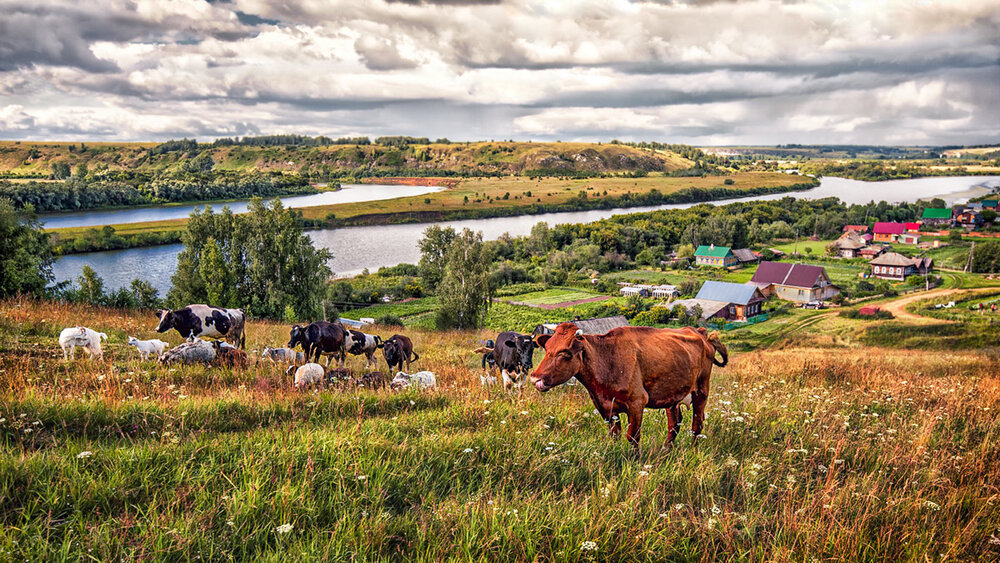 Photograph by Владимир Чуприков