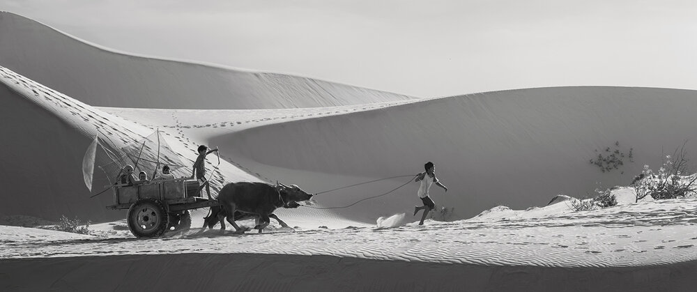 Photograph by BUI QUANG VU