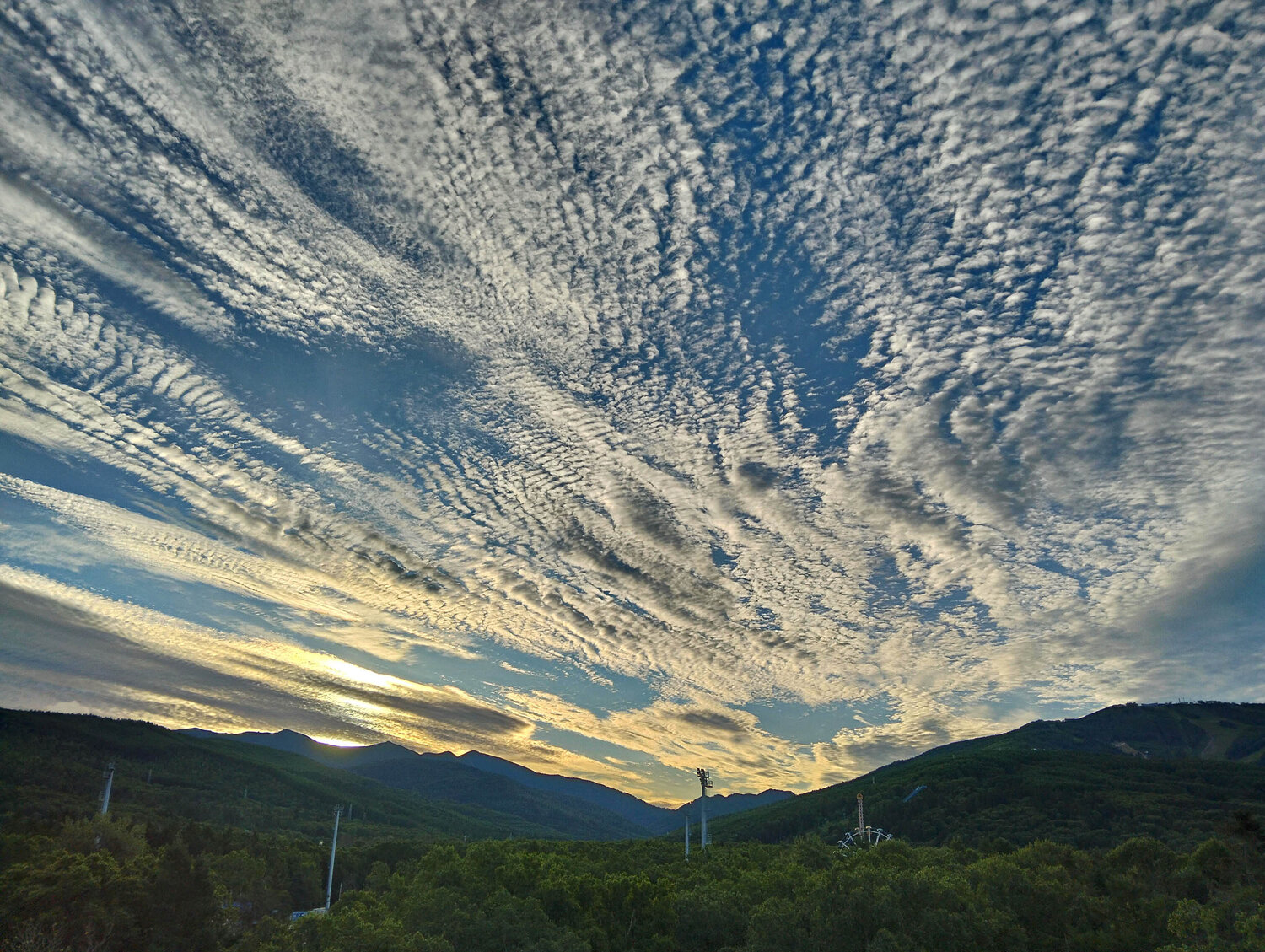 Photo #13767415