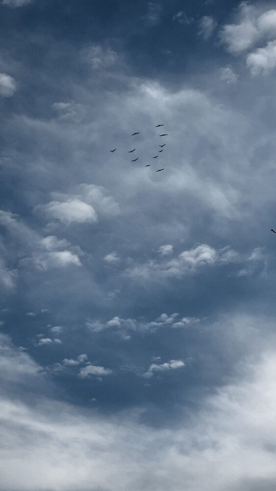 Photo #13767435