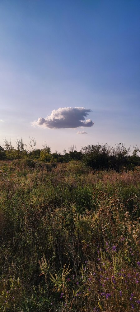 Photograph by Ольга