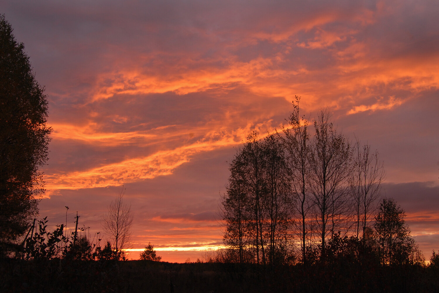 Photo #13767462