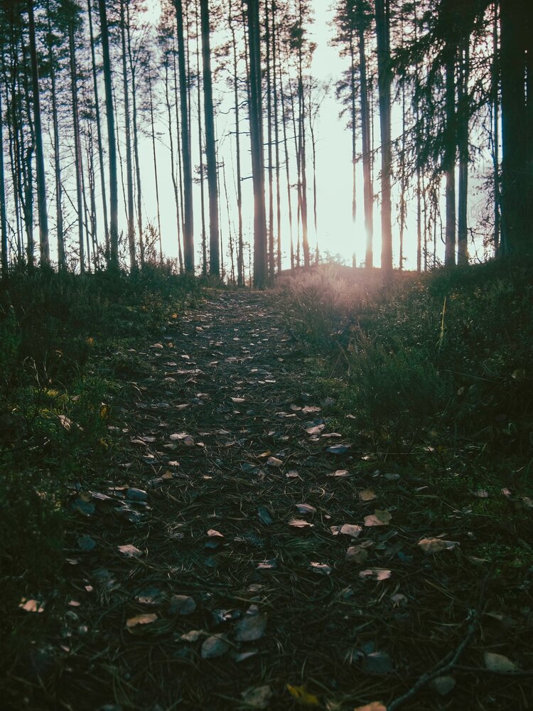 Photograph by Ольга Зимина