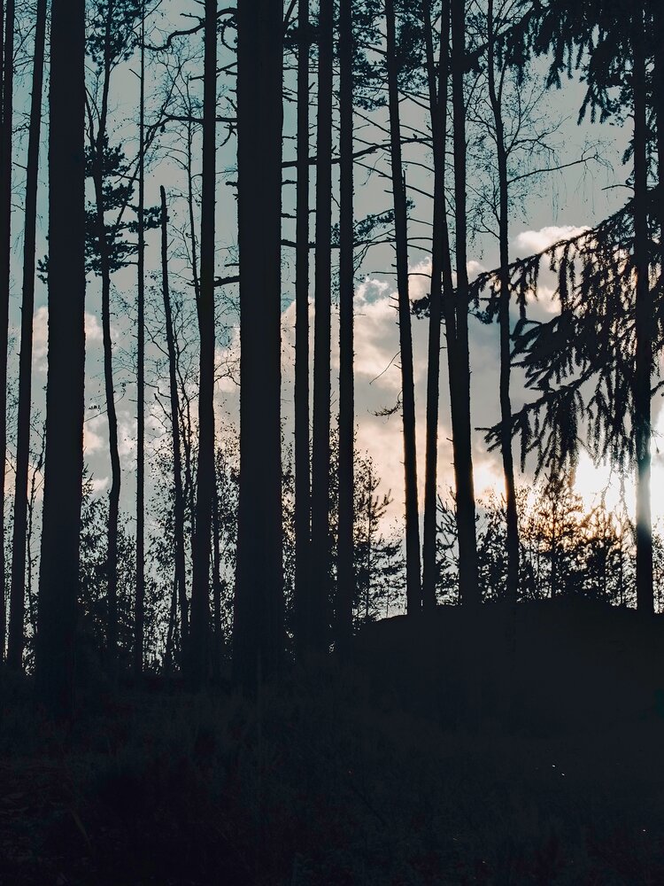 Photograph by Ольга Зимина
