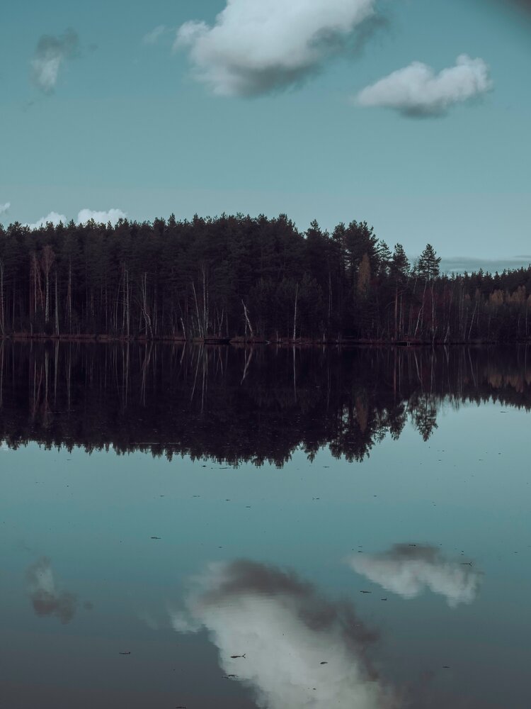 Photograph by Ольга Зимина