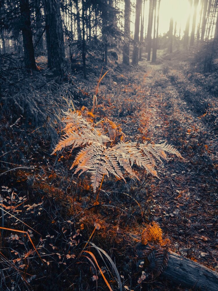 Photograph by Ольга Зимина
