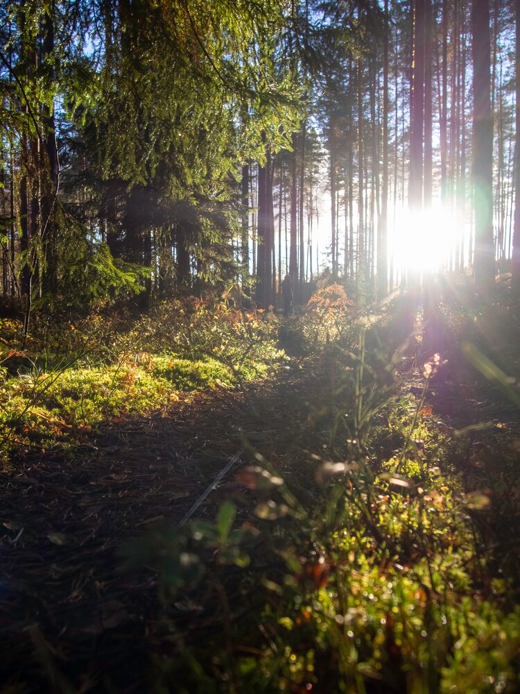 Photograph by Ольга Зимина