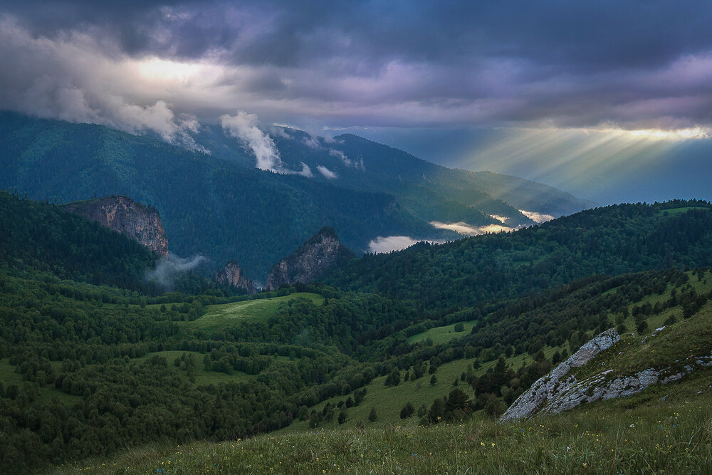 Photograph by Ольга Ченцова