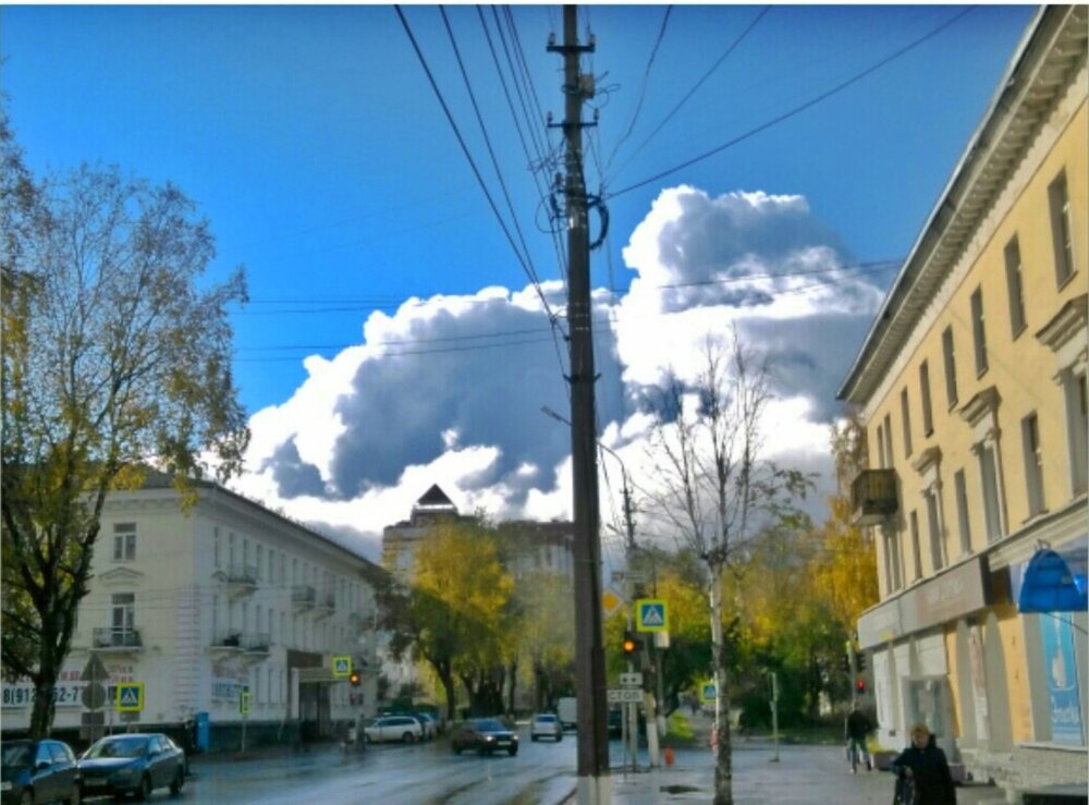 Фотография автора Вероника Пунгина