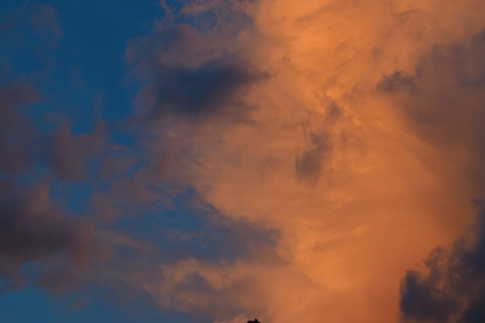 Photograph by Олег Лебедев