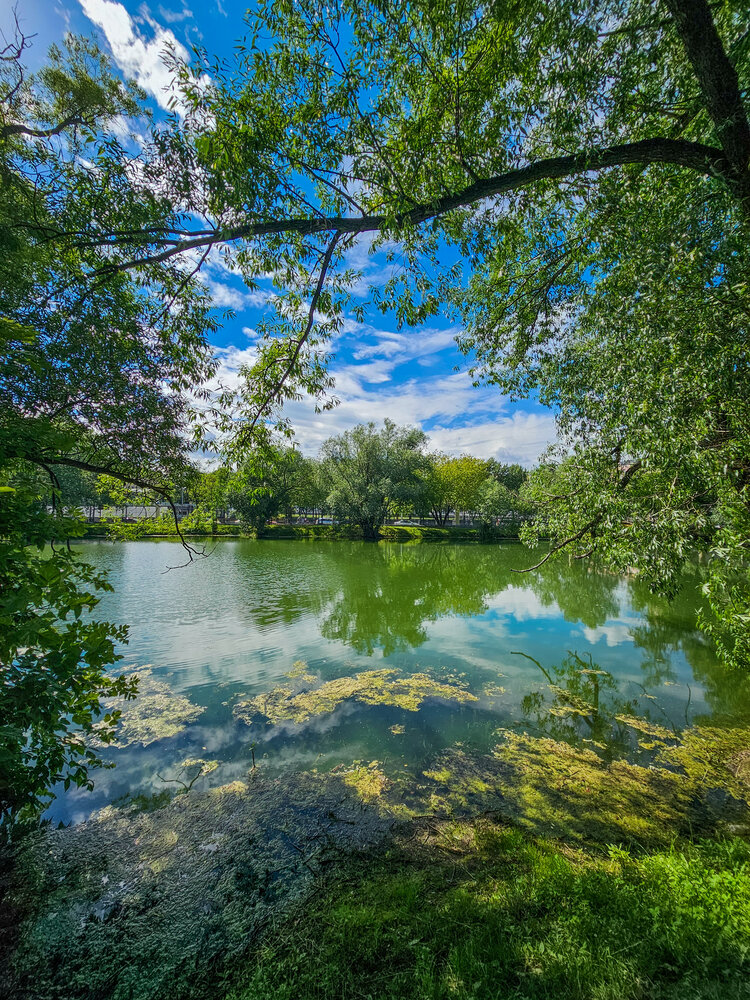 Photograph by Сергей Кесаев