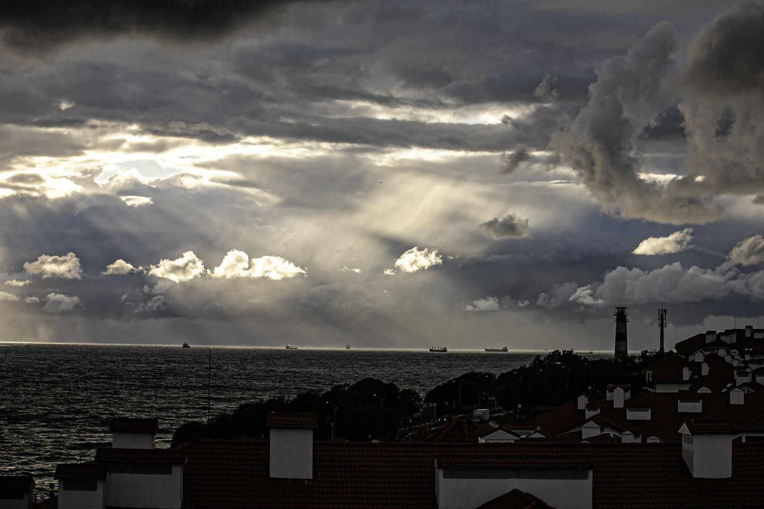 Photo #13767569