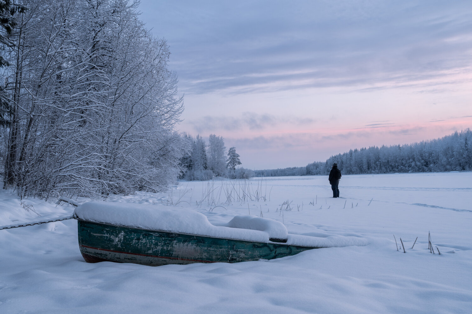 Photo #13767637