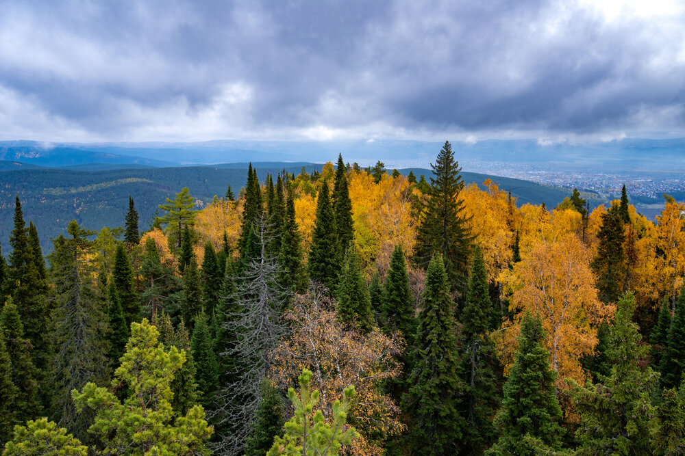 Photograph by Наталия Сметнёва
