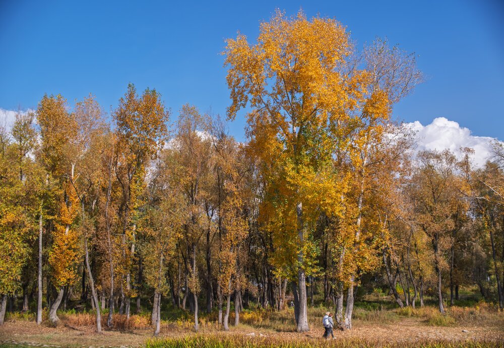 Photograph by Михаил Измайлов