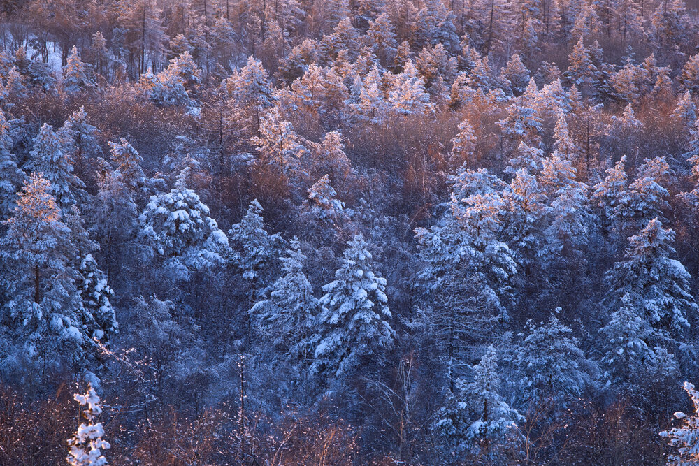 Photograph by Наталия Сметнёва