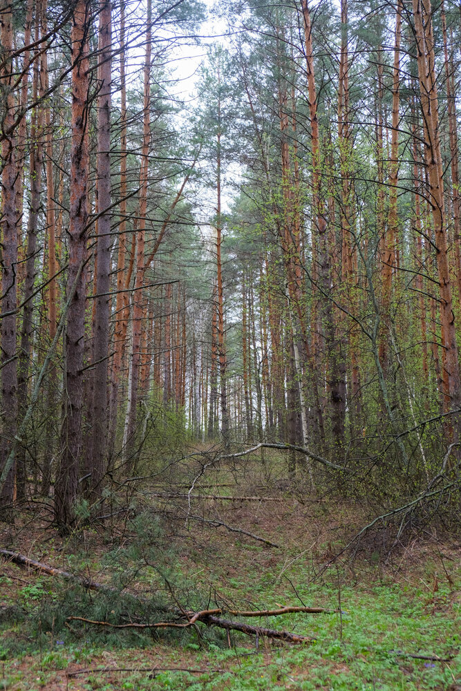 Photograph by Альберт Габбасов