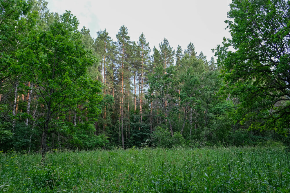 Photograph by Альберт Габбасов