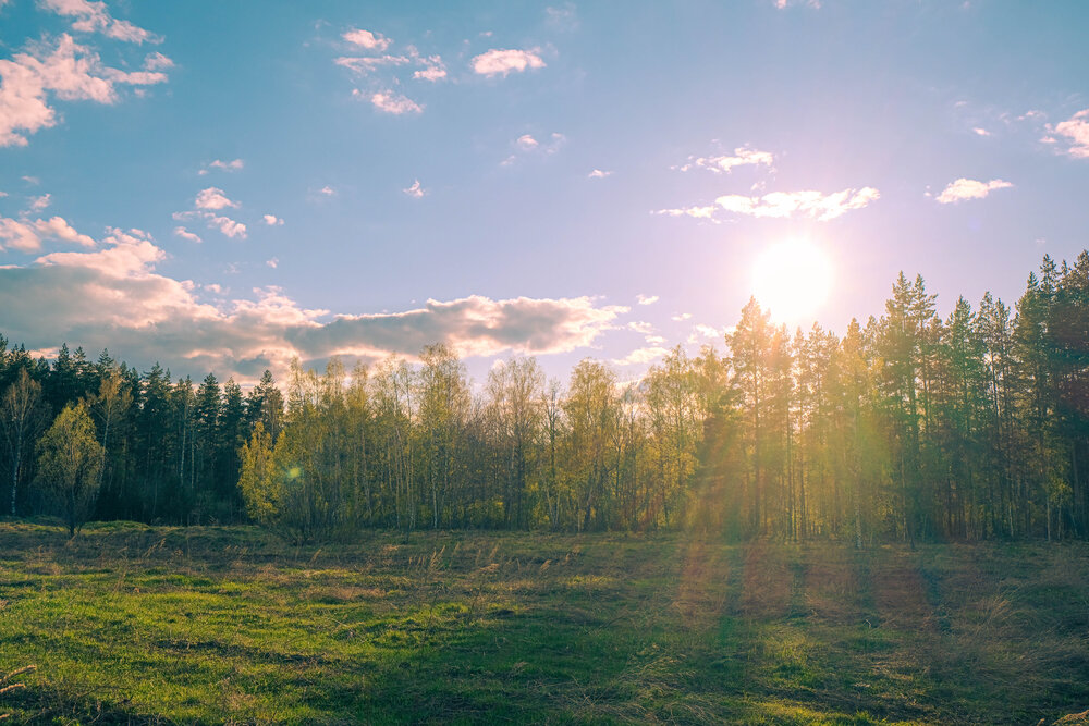 Photograph by Альберт Габбасов