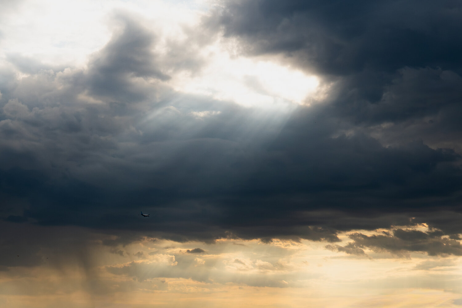 Photo #13767748