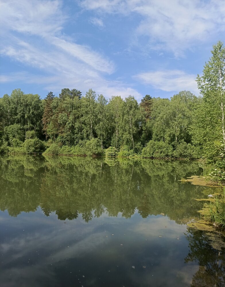 Фотография автора Ольга Петрова