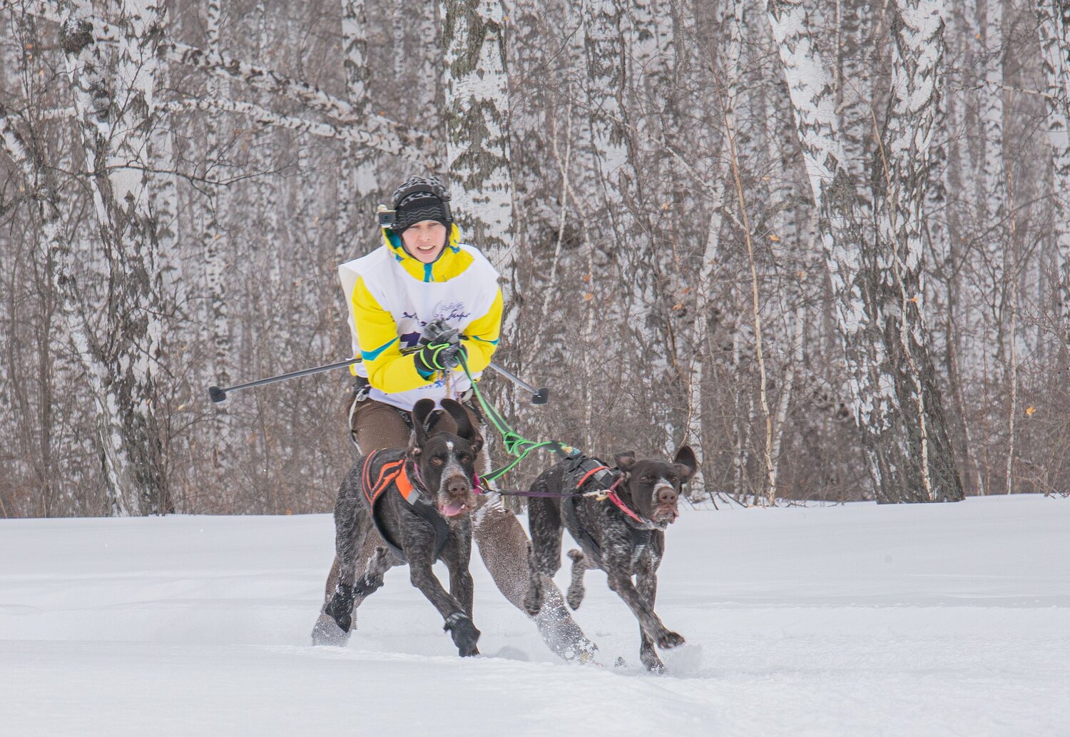 Photo #13767768