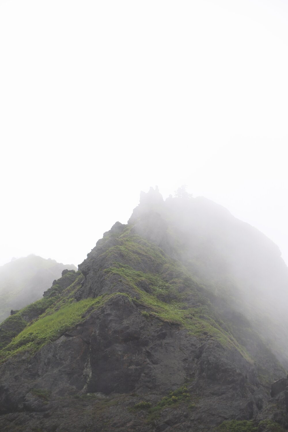 Photo #13767786
