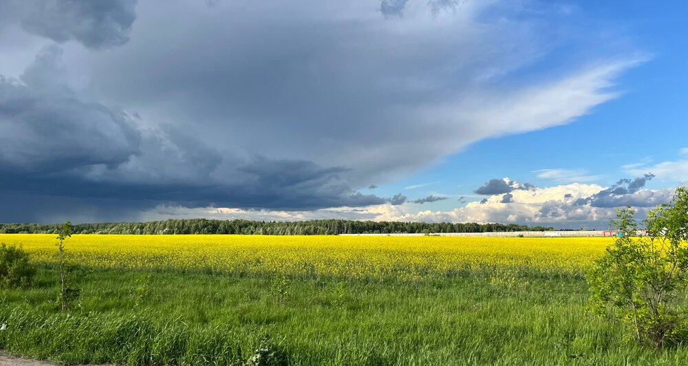 Photograph by Евгения