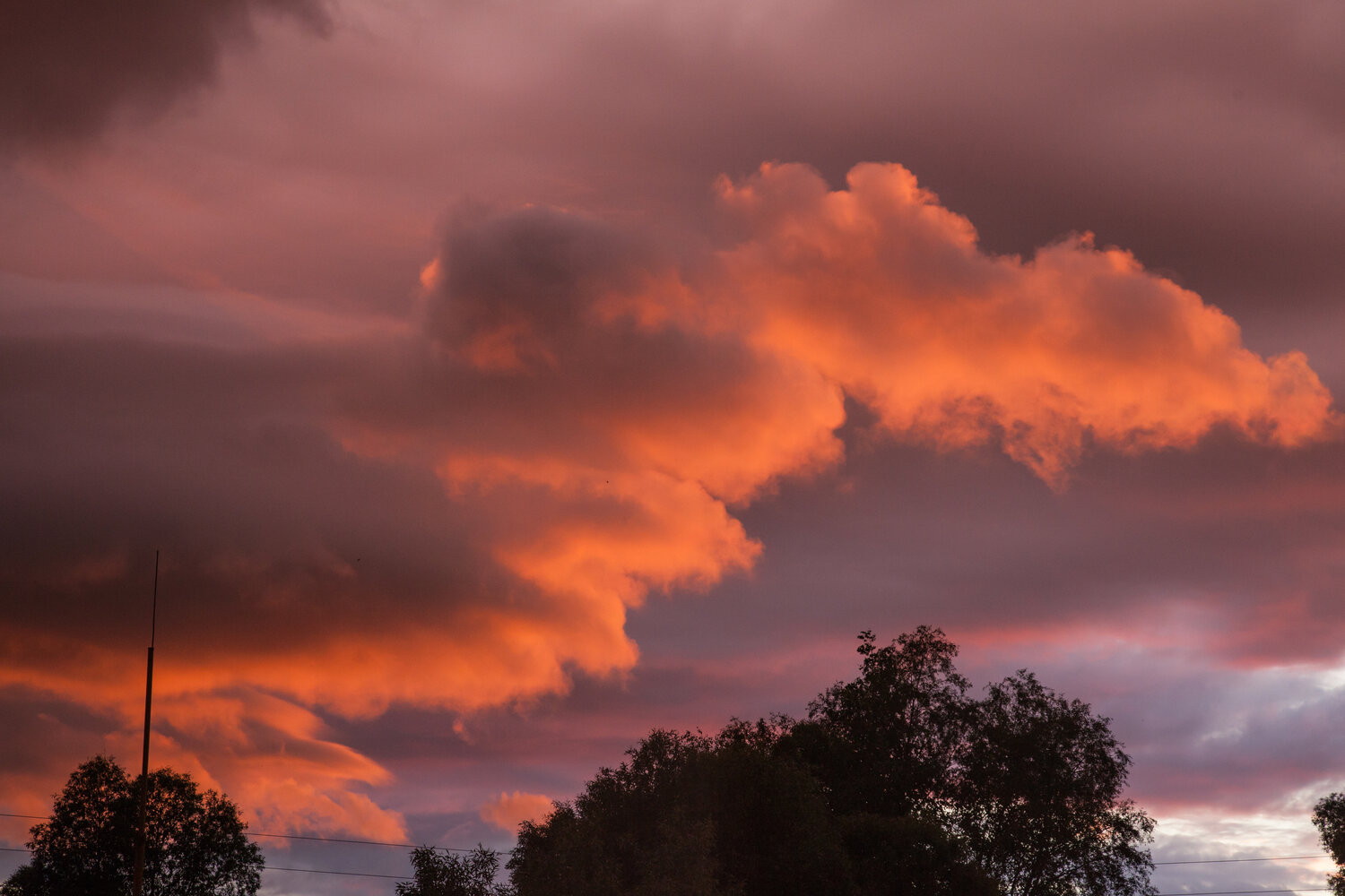 Photo #13767899