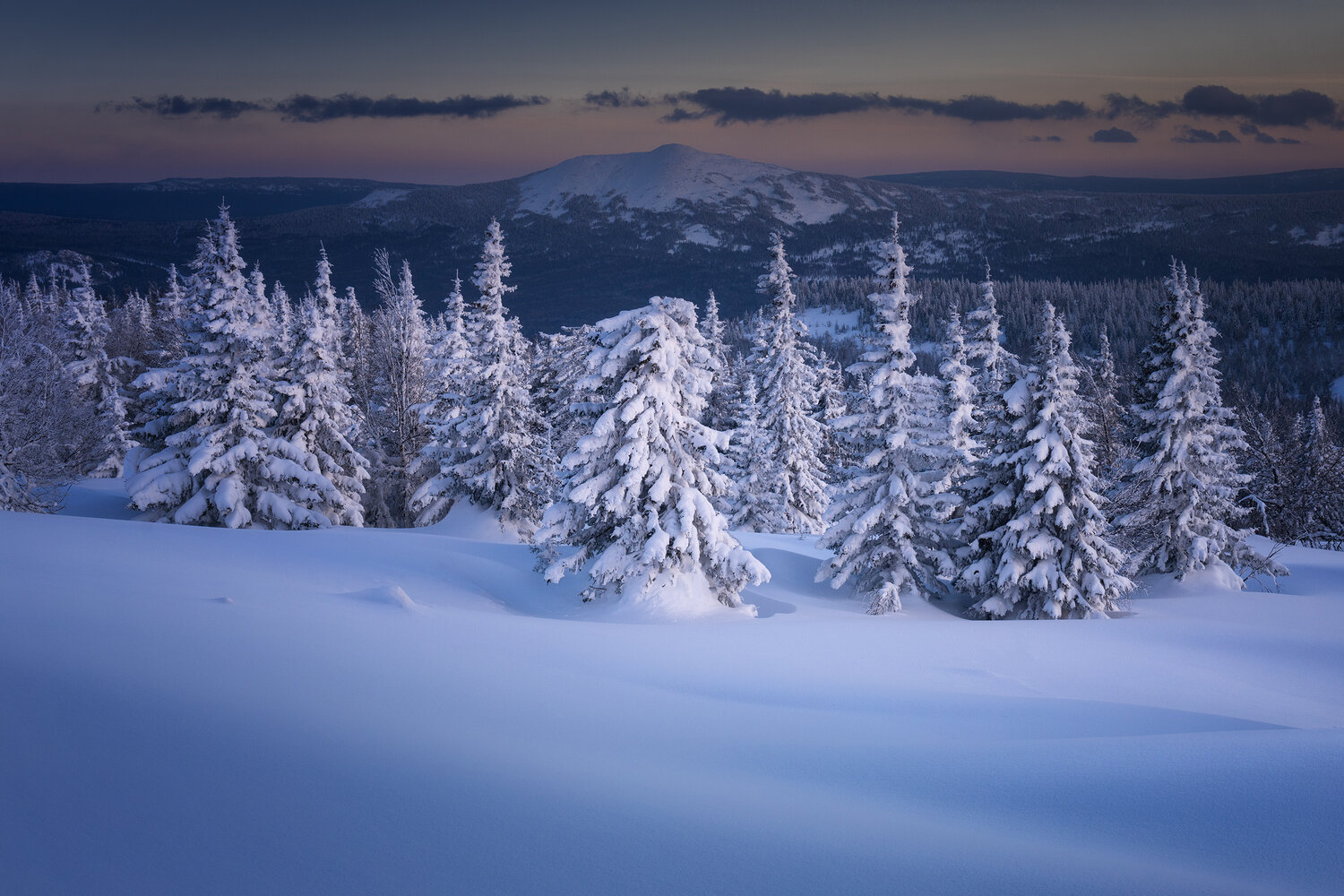 Photo #13767905