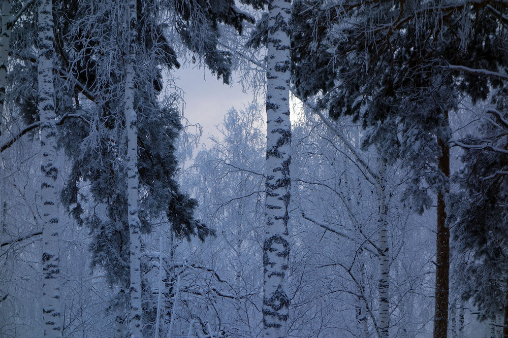 Photograph by Марина Виноградова