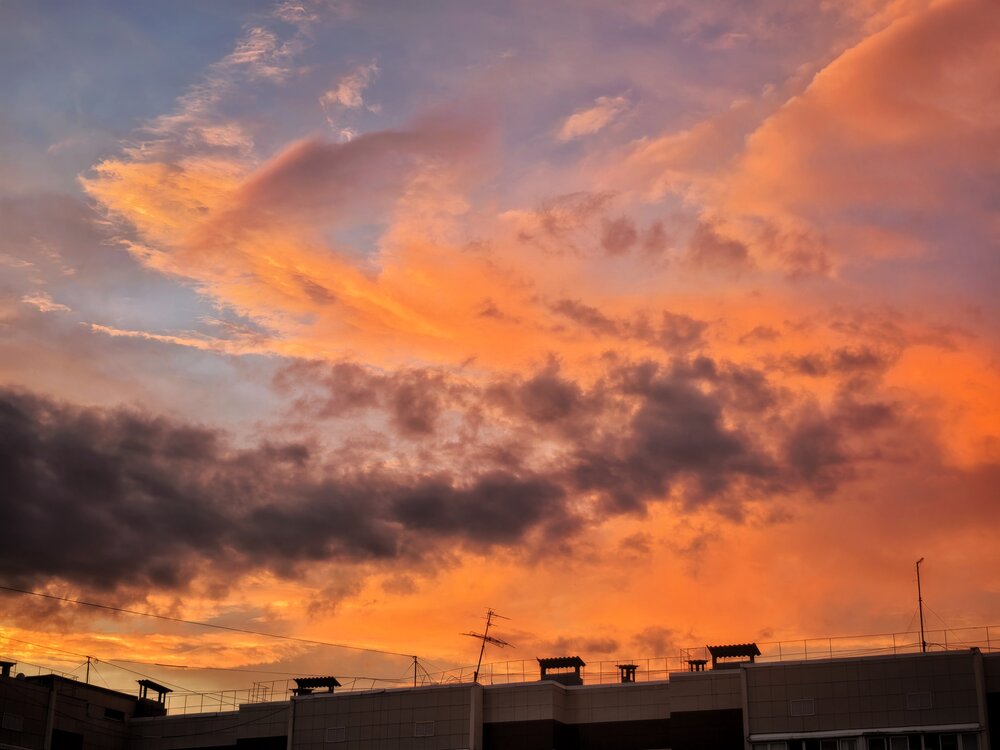 Photograph by Лидия Жижина