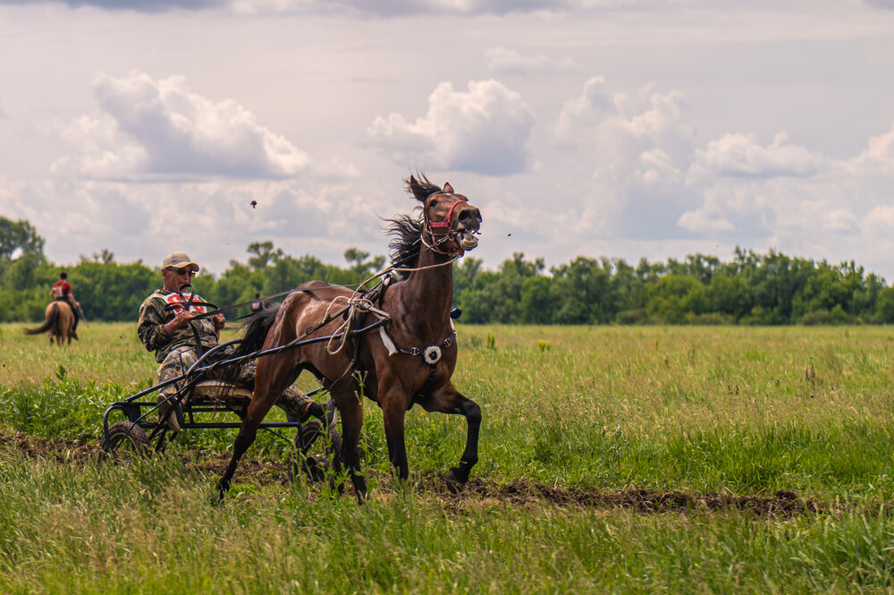 Photograph by Валентина Воробьёва