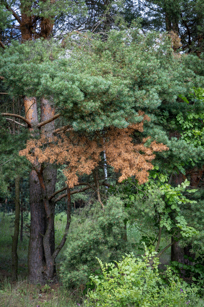 Photograph by Сергей Викторович