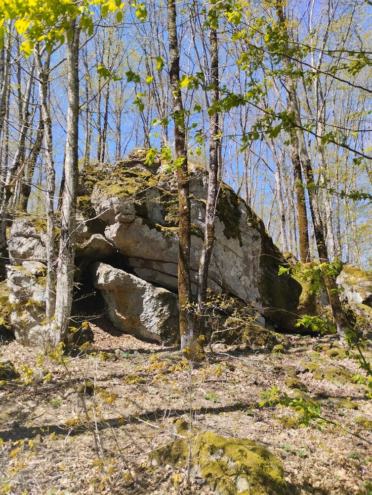 Photograph by Елена Казаренко