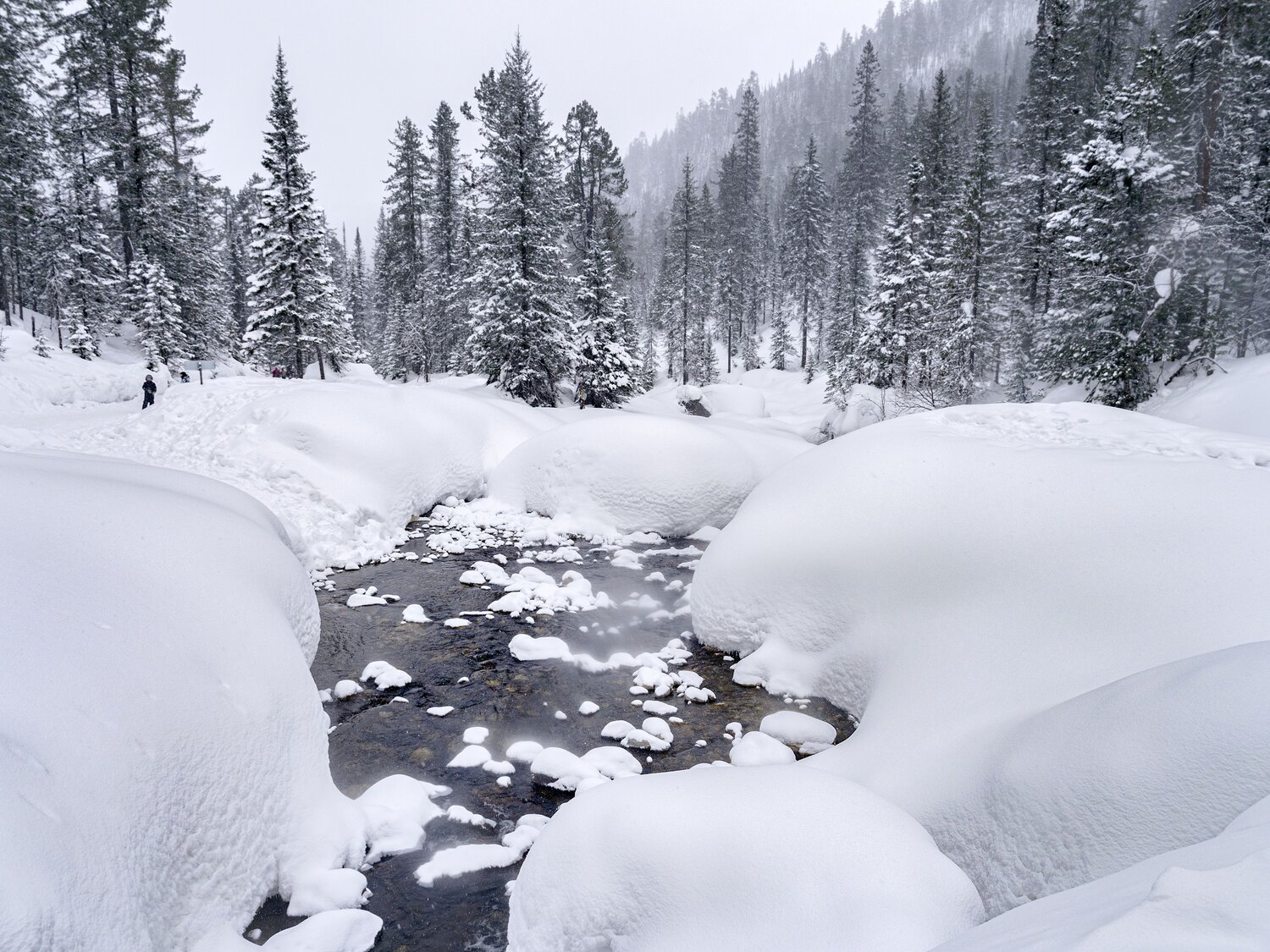Photo #13768118