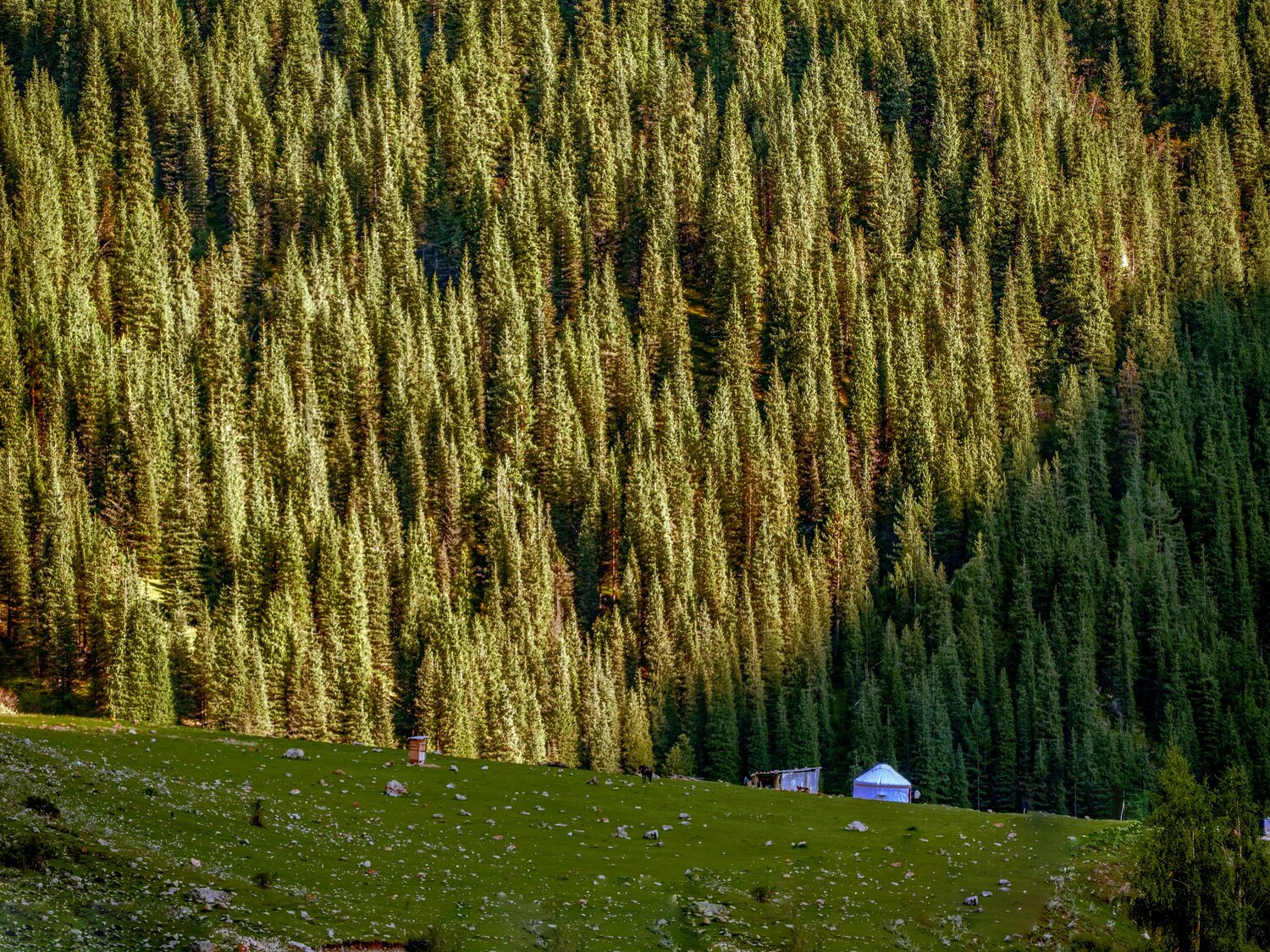 Photo #13768133