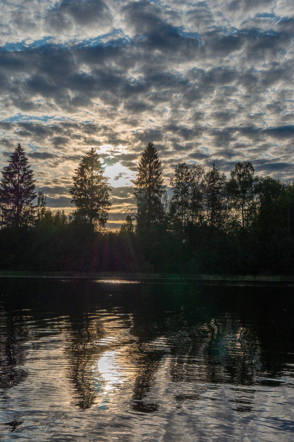 Photo #13768147
