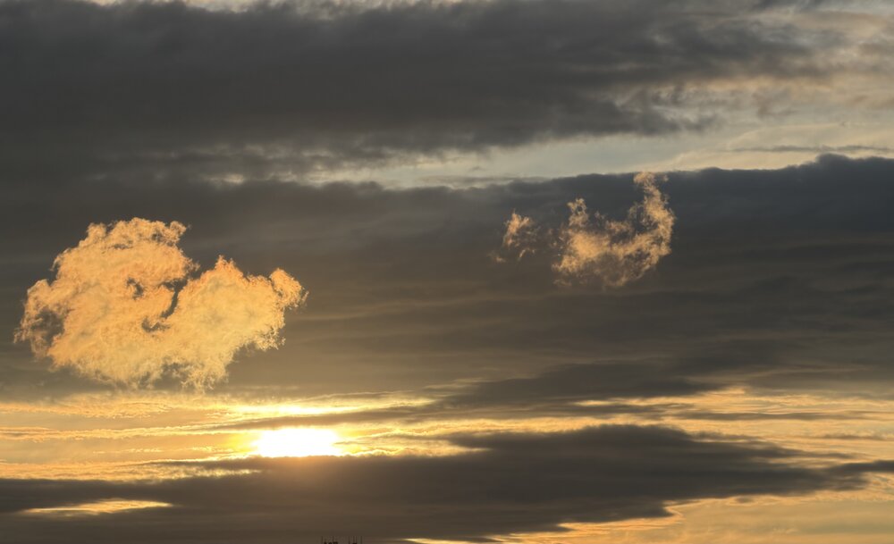 Photograph by Марина Сальникова