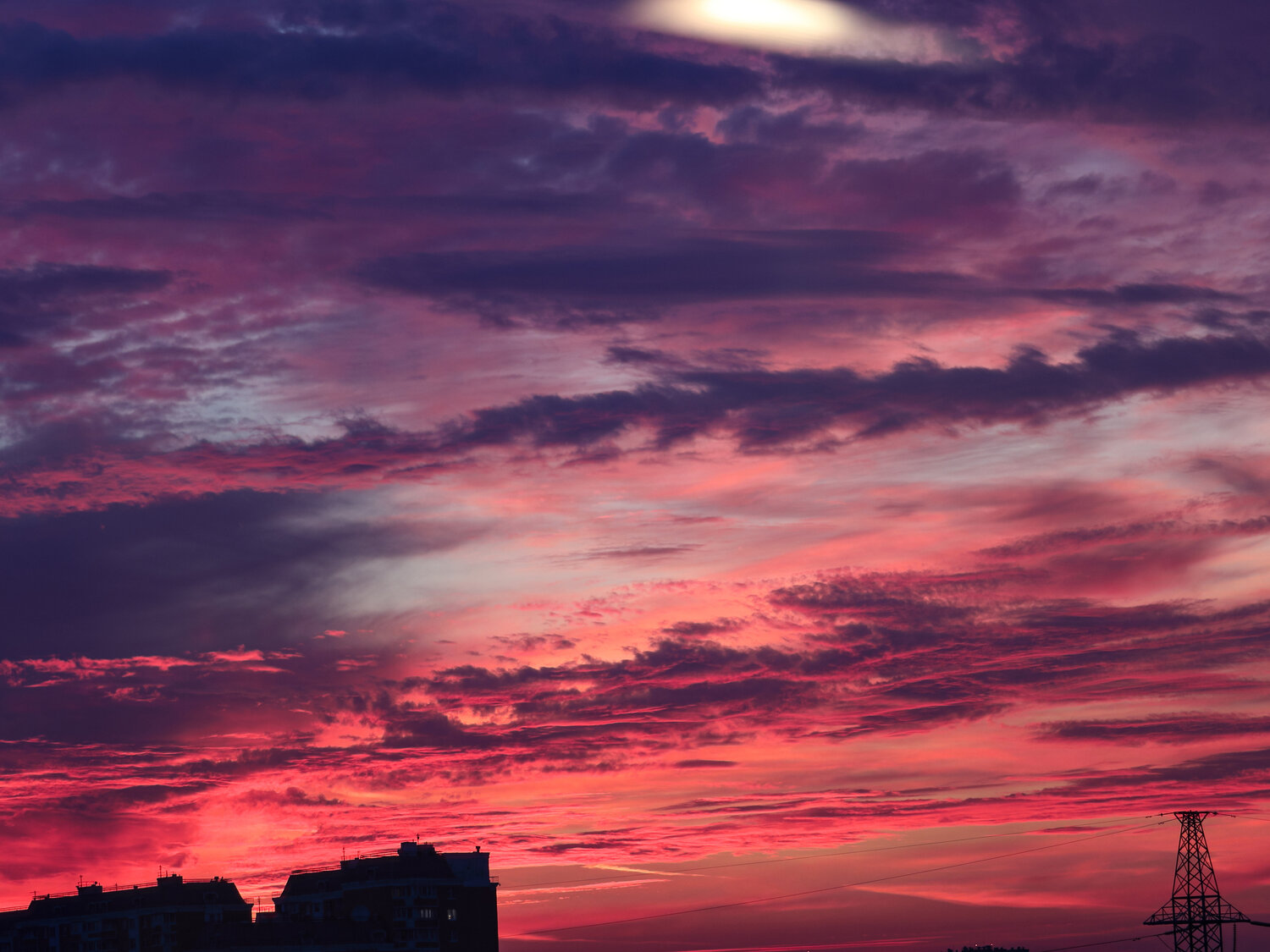 Photo #13768195
