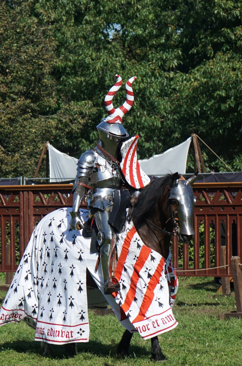 Photo #13768245