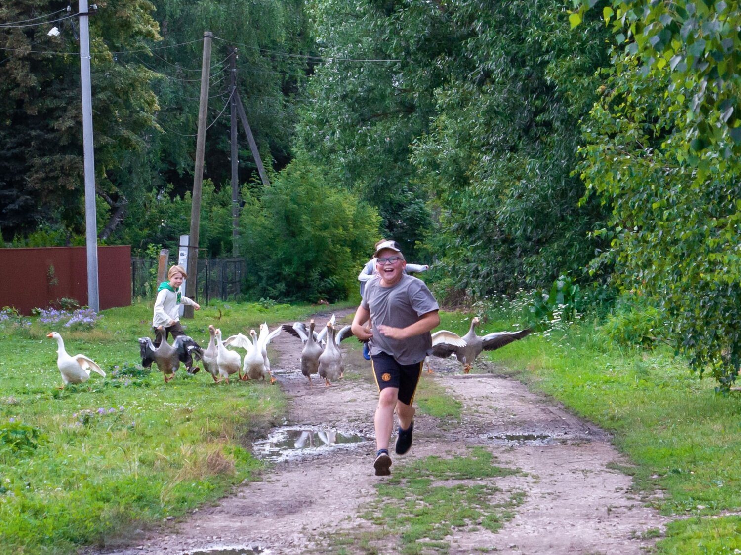 Photo #13768267
