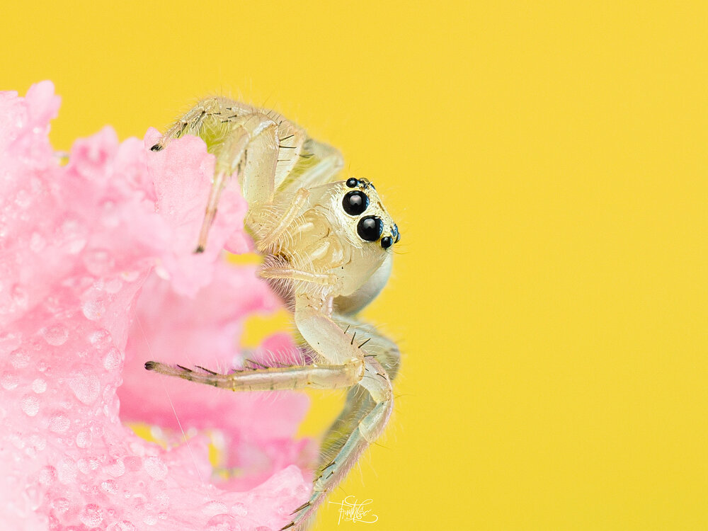 Photograph by Trinh Hoang Duc Loc