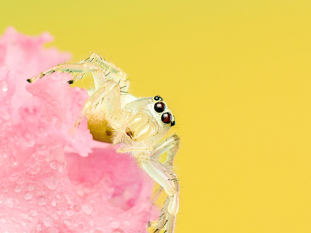 Photograph by Trinh Hoang Duc Loc