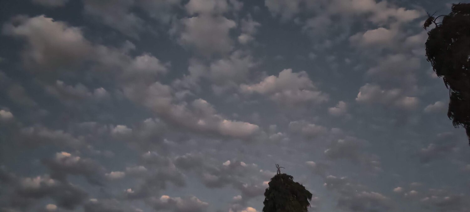 Photo #13768319